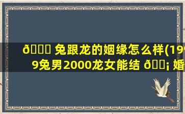 🐟 兔跟龙的姻缘怎么样(1999兔男2000龙女能结 🐡 婚么)